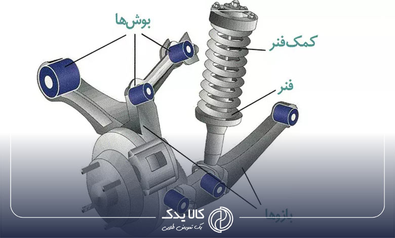 بوش طبق چیست؟